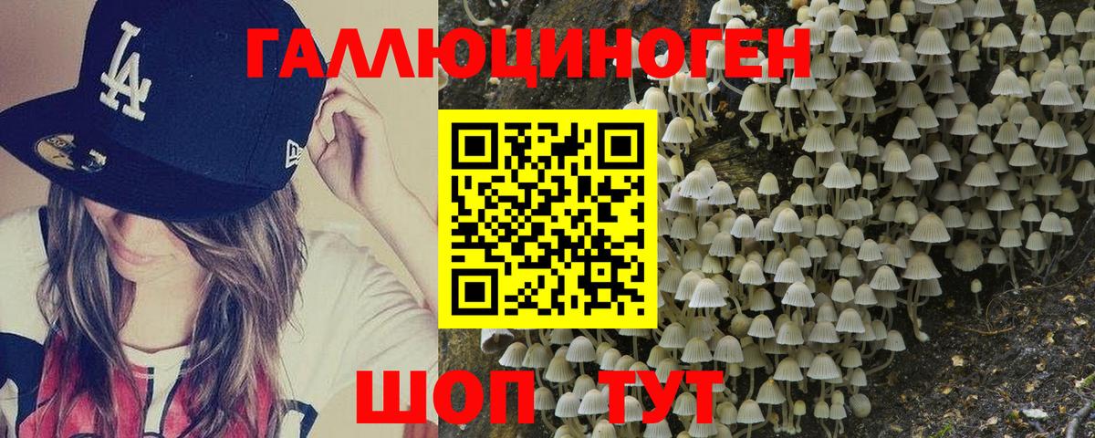 Реж  Галлюциногенные грибы Psilocybine cubensis  Вход с VPN  Галлюциногенные грибы ЛСД 
