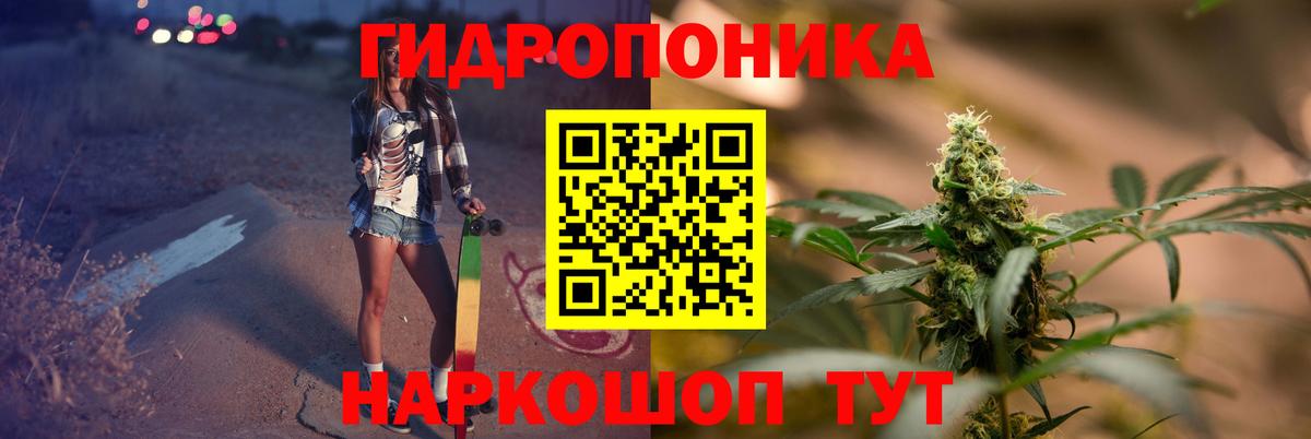 Конопля семена  Вход с VPN  Реж  Канабис ГИДРОПОН 